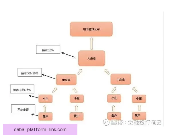 世界杯胜负预测大揭秘 揭示球队实力分析与赛果预测技巧